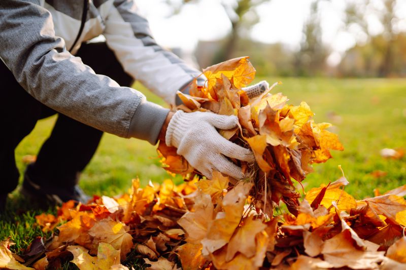 Fall Preparation Projects
